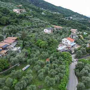 mgh-pai-superior-apartment-ora.hotelinveneto.com/